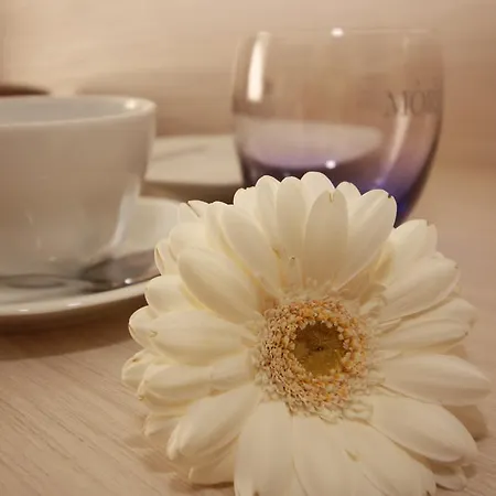 アパート Mr.& Mrs. President エアフルト