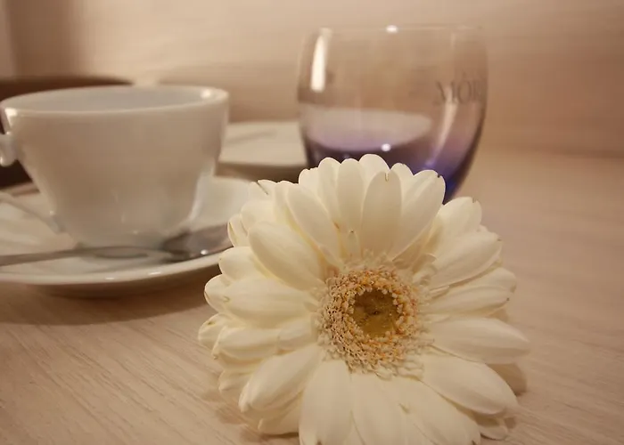 아파트 Mr.& Mrs. President 에르푸르트